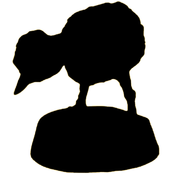 peva-admin.pages.dev favicon